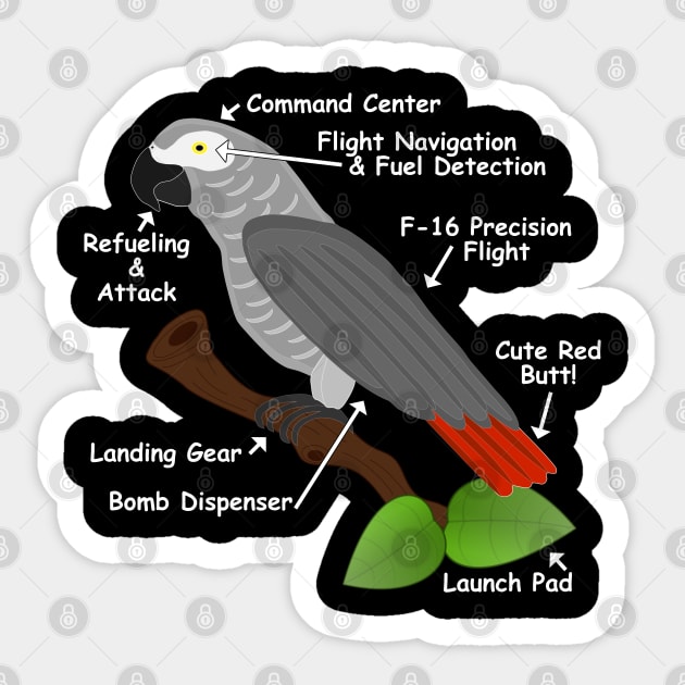 Anatomy of an African Grey Parrot Sticker by Einstein Parrot